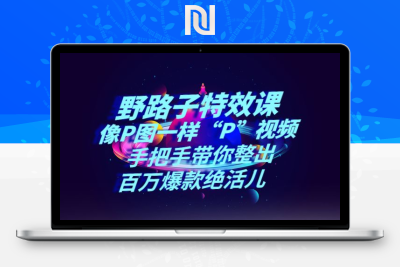 【新自媒体】《野路子特效课：像P图一样“P”视频》手把手带你整出百万爆款绝活儿-牛牛源码库